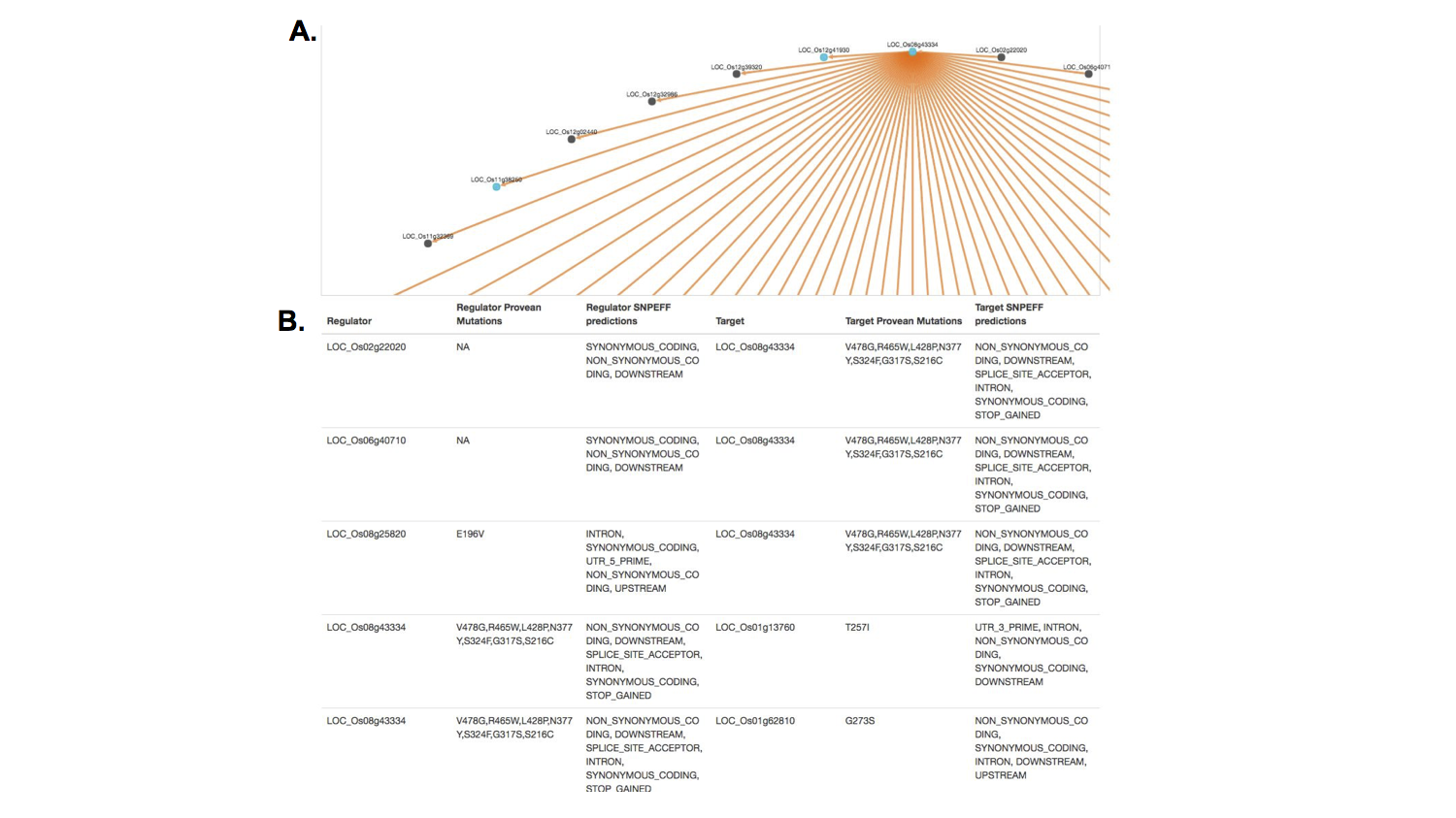 cytoscape layout options