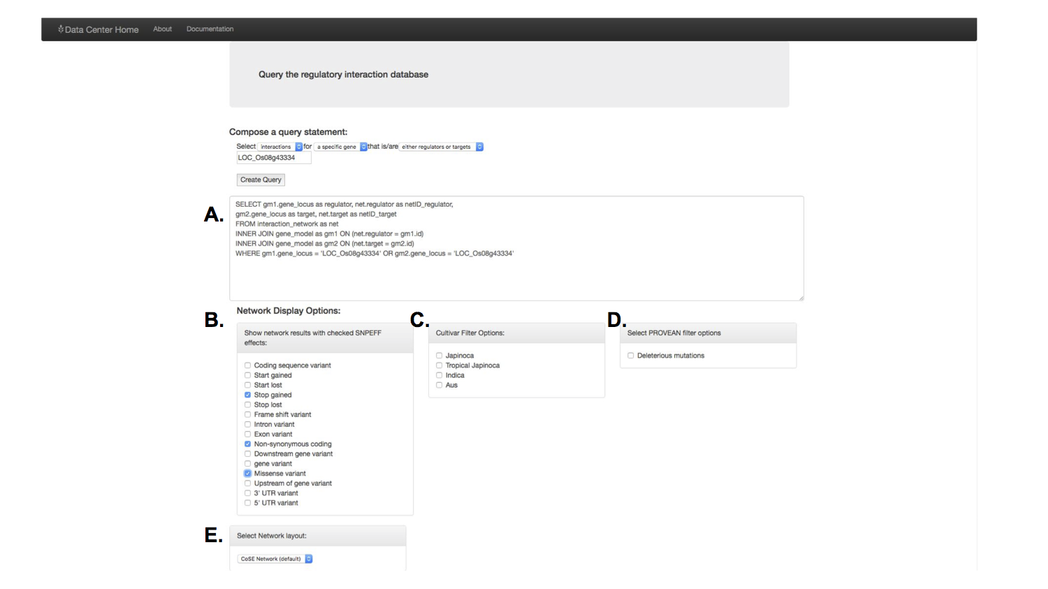 network query